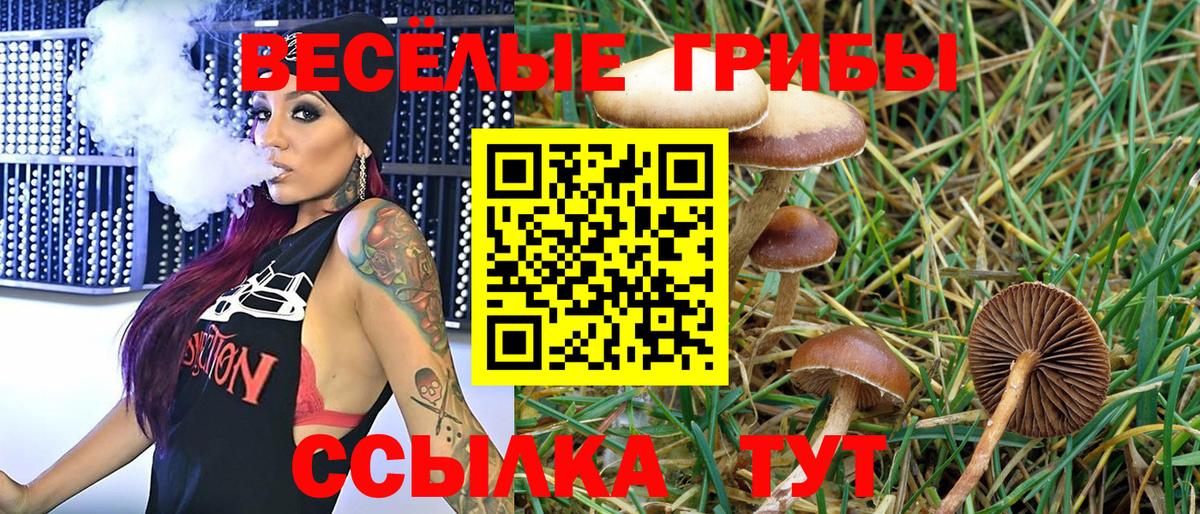 Псилоцибиновые грибы ЛСД Можайск